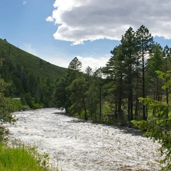 A scenic view of a swiftly flowing river flanked by dense coniferous trees with a backdrop of green hills under a partly cloudy sky.