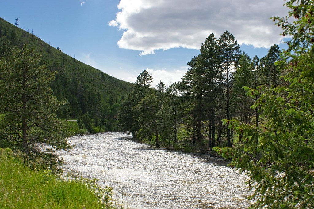 A scenic view of a swiftly flowing river flanked by dense coniferous trees with a backdrop of green hills under a partly cloudy sky.