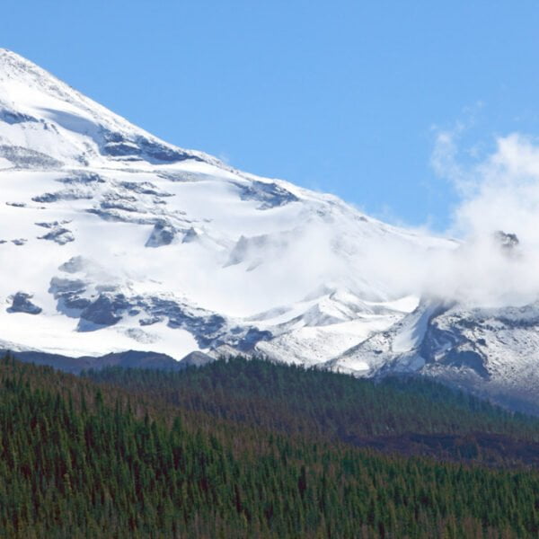 A snow-covered mountain peak with clouds partially obscuring its slopes, rising above a dense forest of evergreen trees under a clear blue sky.