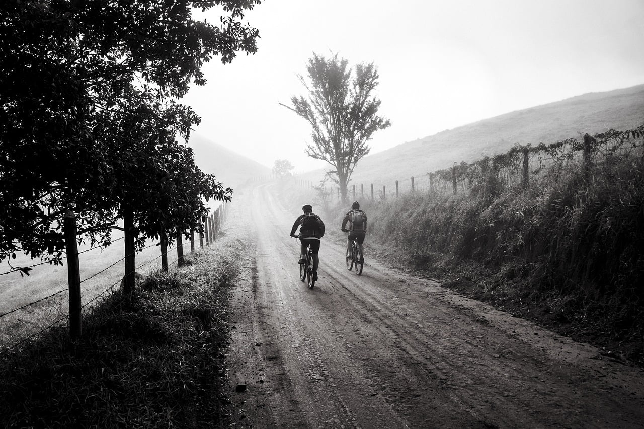 Two cyclists riding on a foggy dirt road bordered by trees and a wire fence, in a black and white landscape.