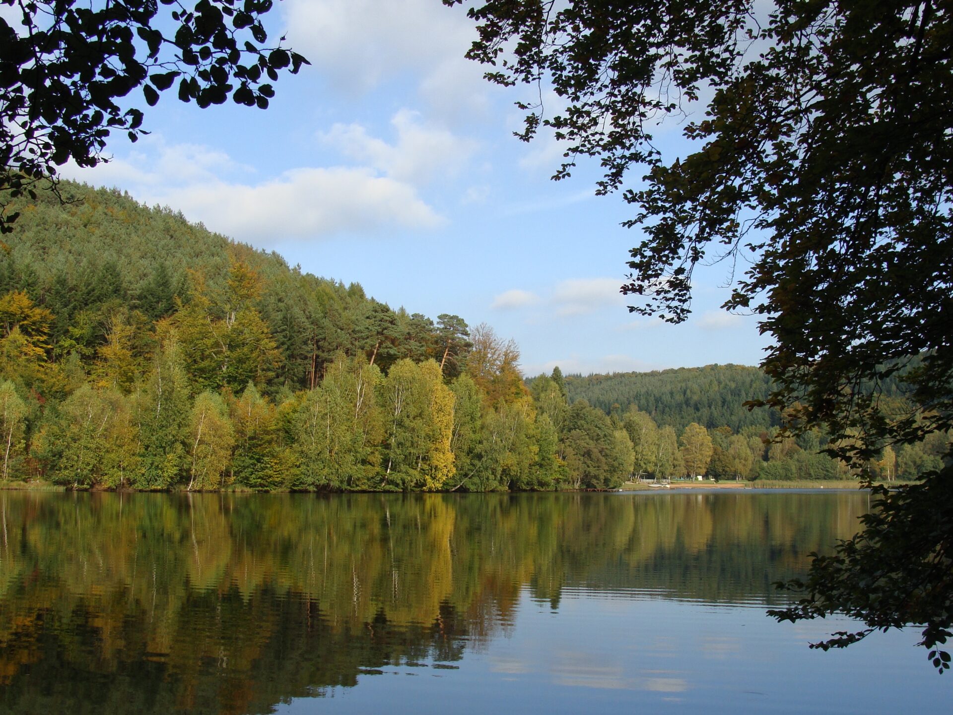A serene lake reflecting the surrounding forest under a blue sky with silhouettes of leaves in the foreground.