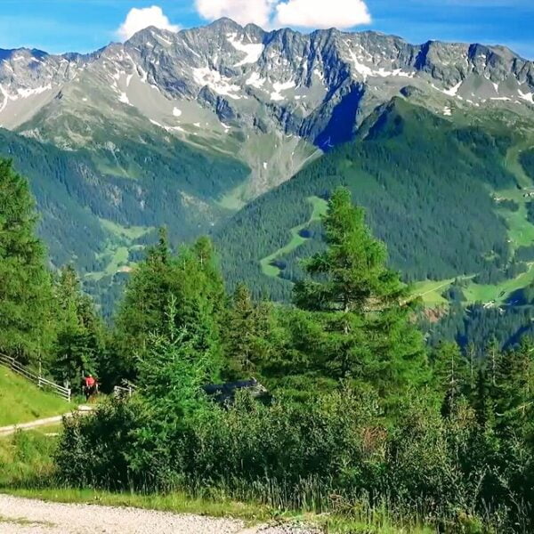 A winding dirt path through a lush green alpine forest with a hiker in the distance, with towering rugged mountains under a clear blue sky in the background.