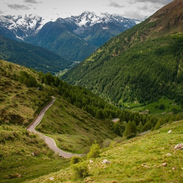 A winding mountain road cuts through a lush green landscape with dense forests and a backdrop of snow-capped mountains.