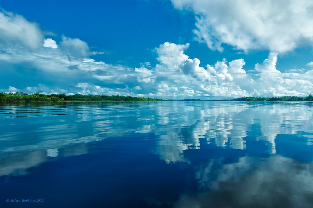 A tranquil river with a clear blue sky and fluffy white clouds above, reflected in the calm water below, bordered by a lush green treeline in the distance.