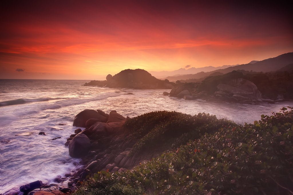 A scenic view of a rocky coastline at sunset with vibrant purple and orange hues in the sky, gentle waves in the ocean, and lush foliage in the foreground.