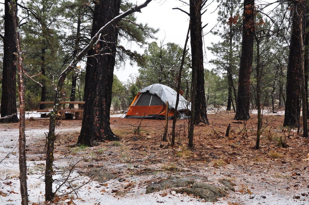 An orange and gray tent pitched among pine trees with a light dusting of snow on the ground.