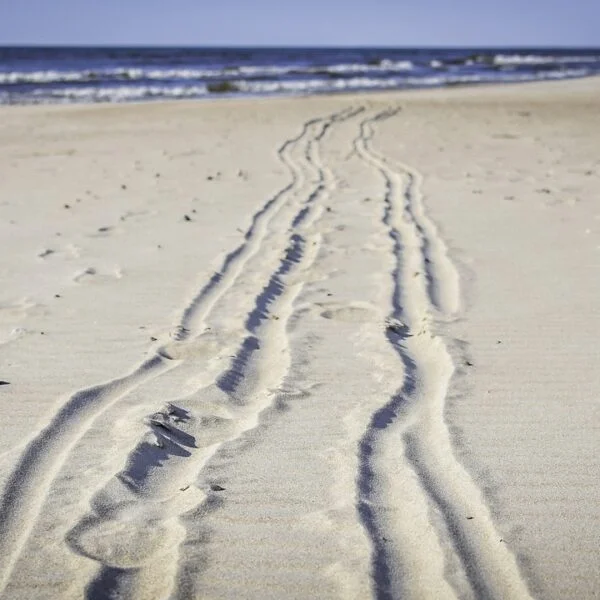 Tire tracks and footprints create parallel patterns in the sand leading toward the ocean on a beach.