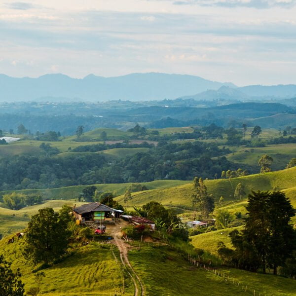 Alt text: A scenic view of a lush, rolling countryside with a small house on a hilltop, grazing cattle nearby, and mountain ranges in the distant background during daylight.