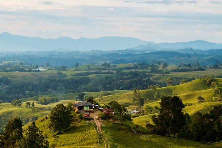 Alt text: A scenic view of a lush, rolling countryside with a small house on a hilltop, grazing cattle nearby, and mountain ranges in the distant background during daylight.