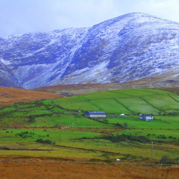 Snow-dusted mountains behind green, patchwork farmland with buildings and scattered sheep.