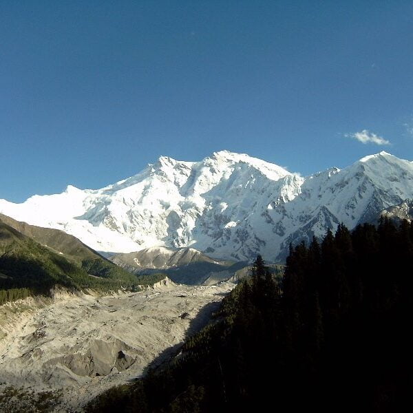 A breathtaking view of a snow-capped mountain range towering over a forested valley with a clear blue sky overhead.