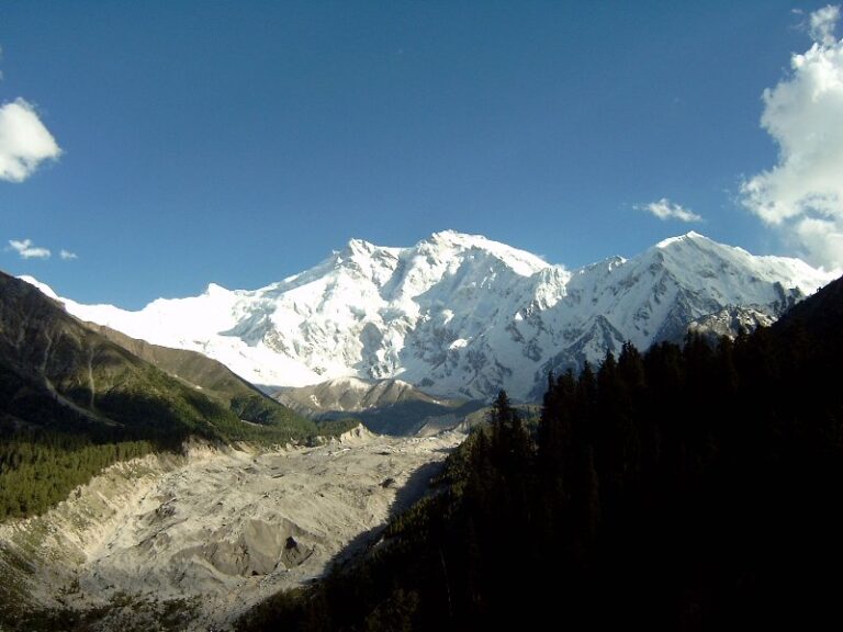 A breathtaking view of a snow-capped mountain range towering over a forested valley with a clear blue sky overhead.