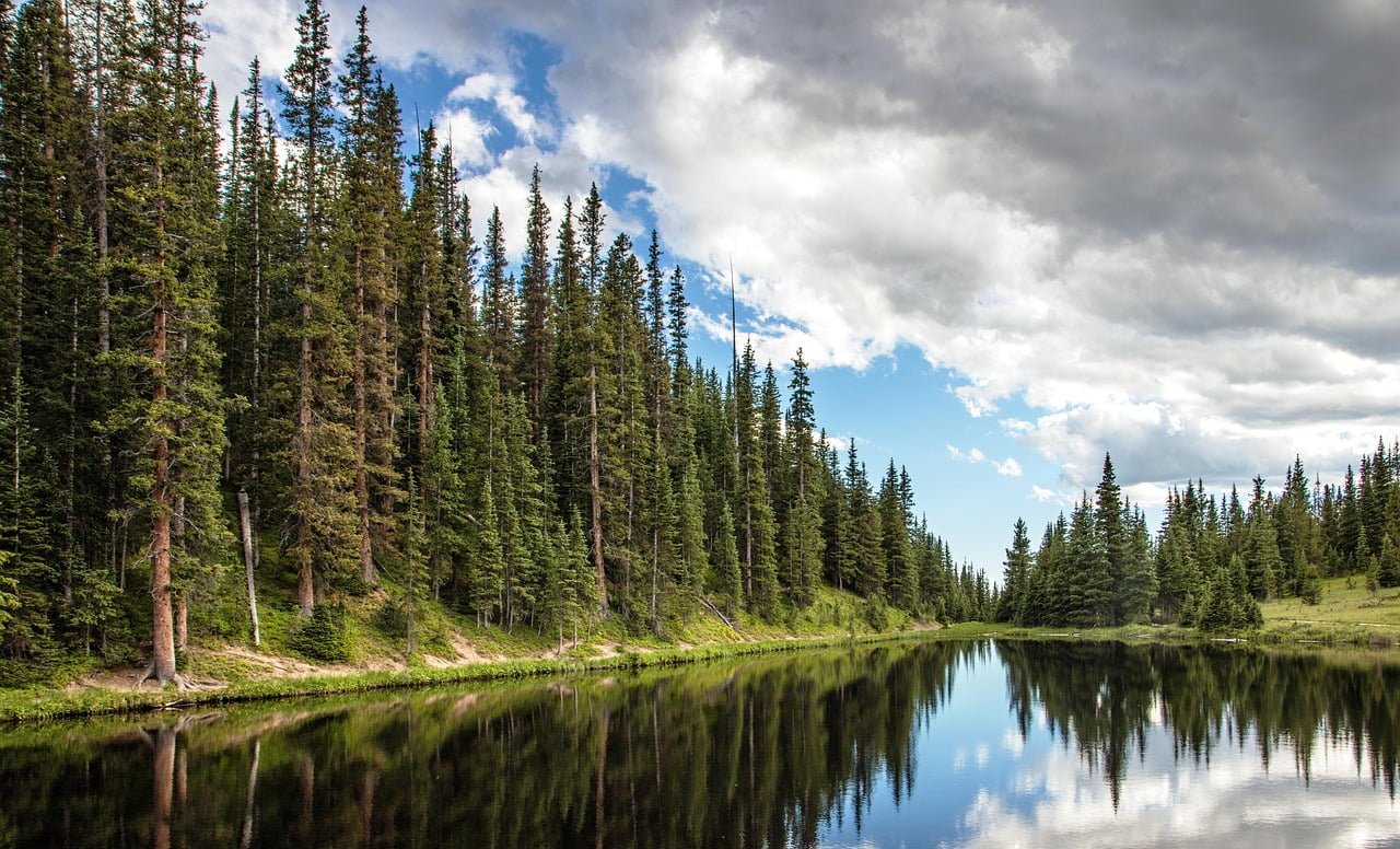A serene mountain lake reflecting a dense forest of tall evergreen trees under a dynamic sky with fluffy clouds.