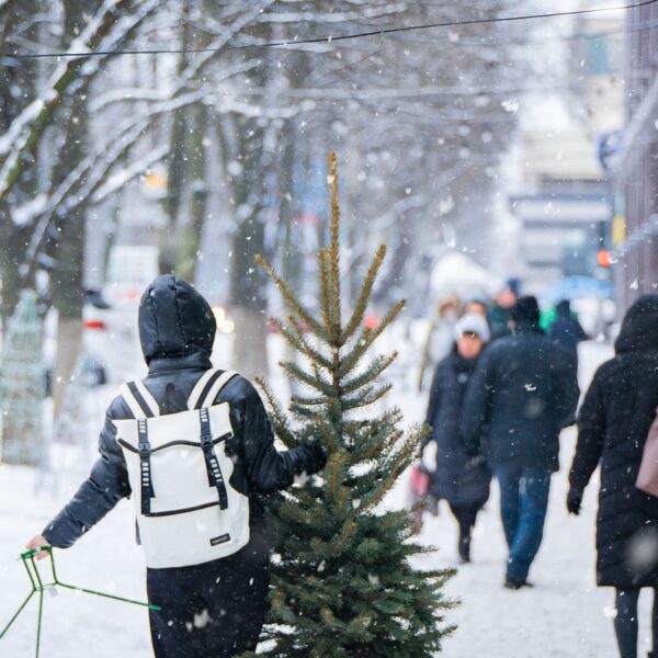 A person in winter clothing carries a small Christmas tree through a snowy street, while pedestrians walk in the opposite direction in the background. Snowflakes are visibly falling in the scene.