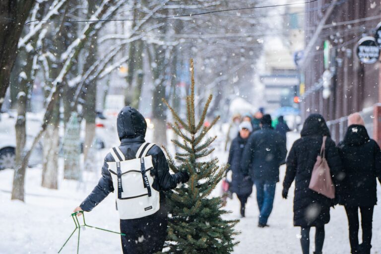 A person in winter clothing carries a small Christmas tree through a snowy street, while pedestrians walk in the opposite direction in the background. Snowflakes are visibly falling in the scene.