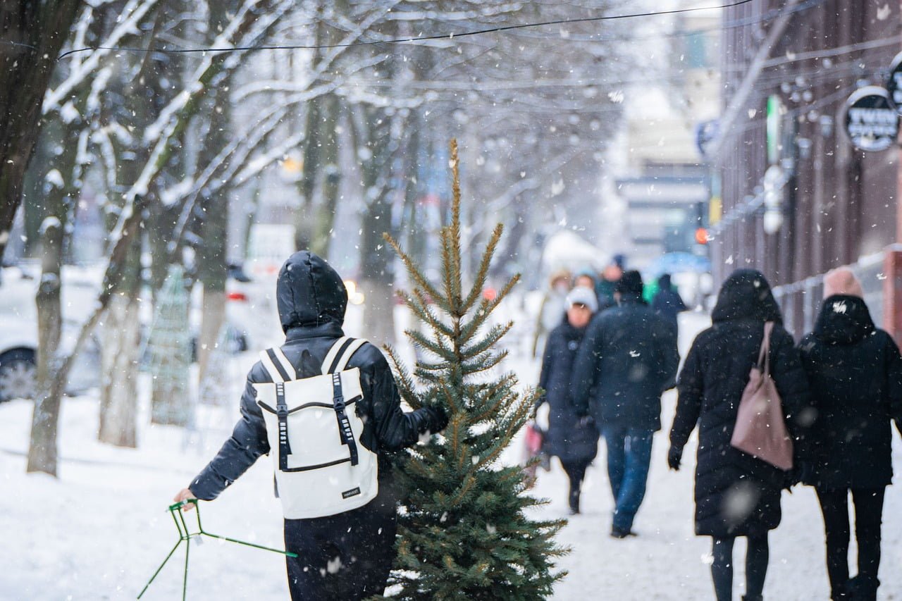 A person in winter clothing carries a small Christmas tree through a snowy street, while pedestrians walk in the opposite direction in the background. Snowflakes are visibly falling in the scene.