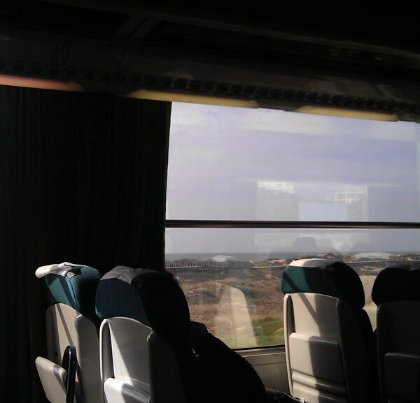 Interior of a bus with empty seats and green curtains, sunlight streaming through the windows with a view of arid landscape outside.