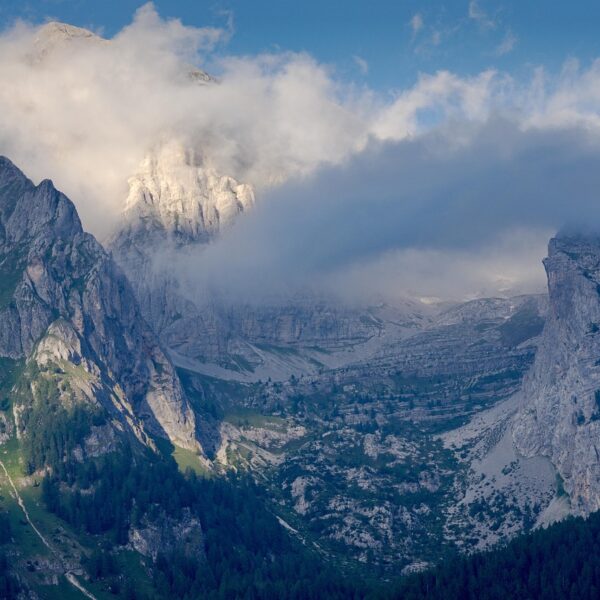 Majestic mountain peaks shrouded in clouds with forested slopes in the foreground.