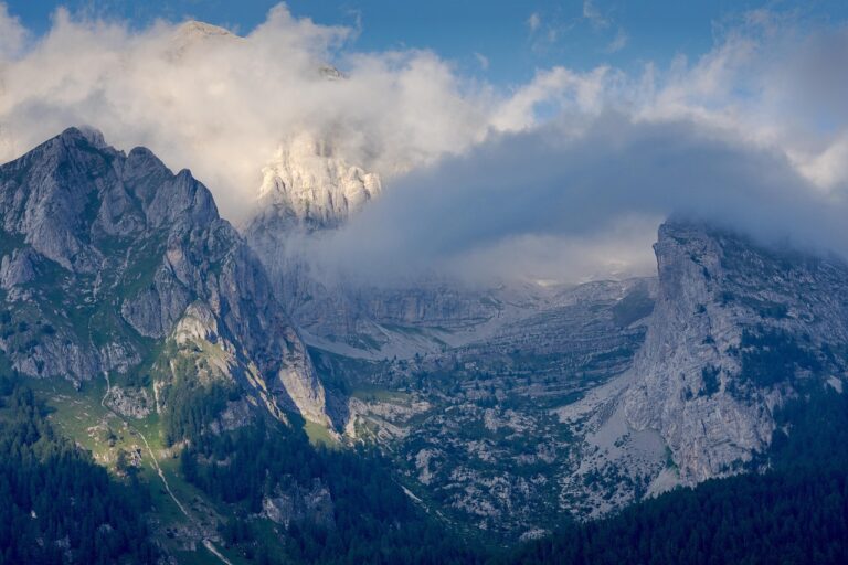 Majestic mountain peaks shrouded in clouds with forested slopes in the foreground.