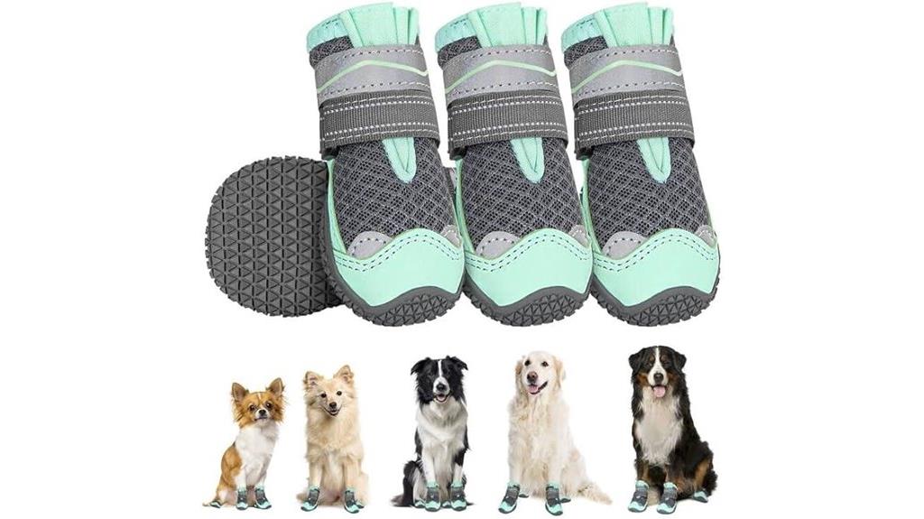 dog shoes for all sizes