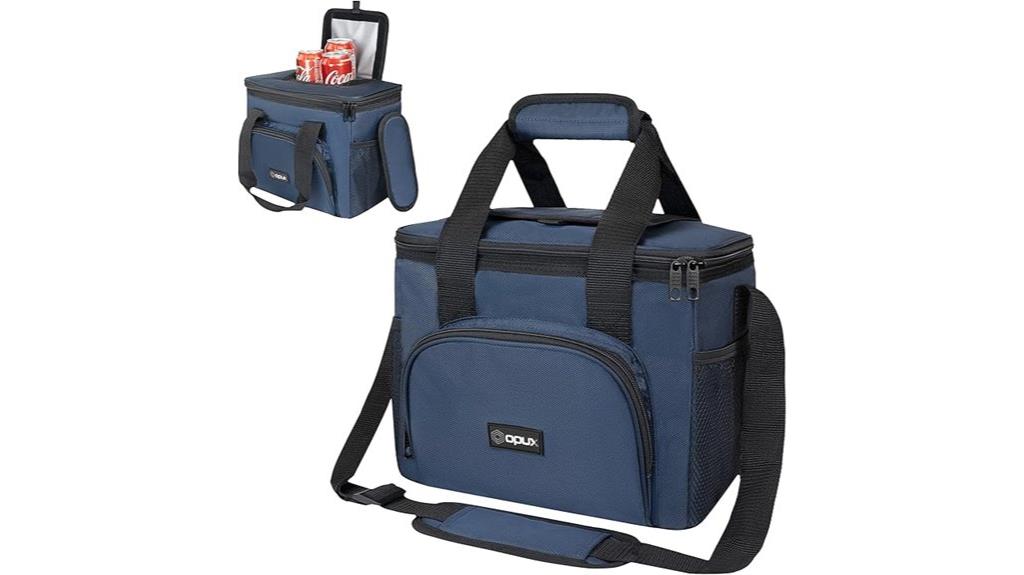 insulated collapsible lunch bag