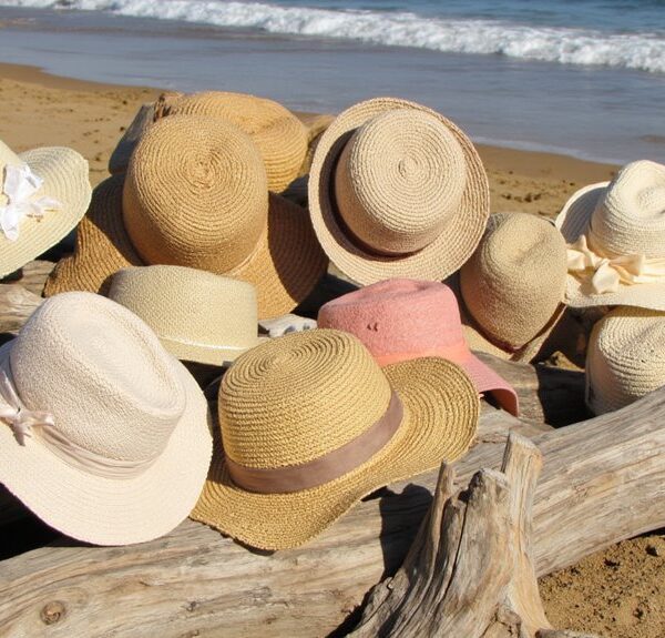 stylish sun hats for women