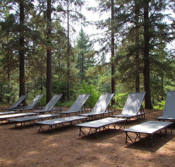 top camping cots reviewed