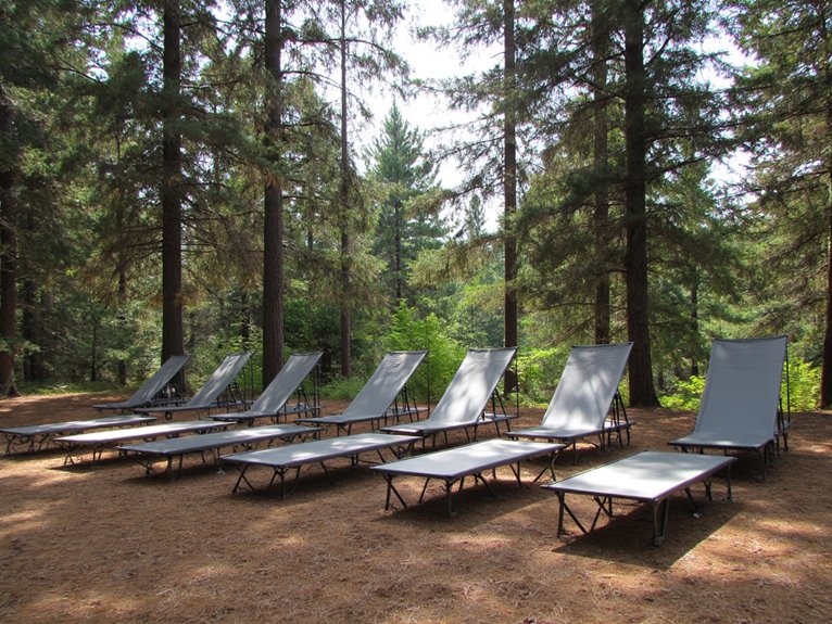 top camping cots reviewed