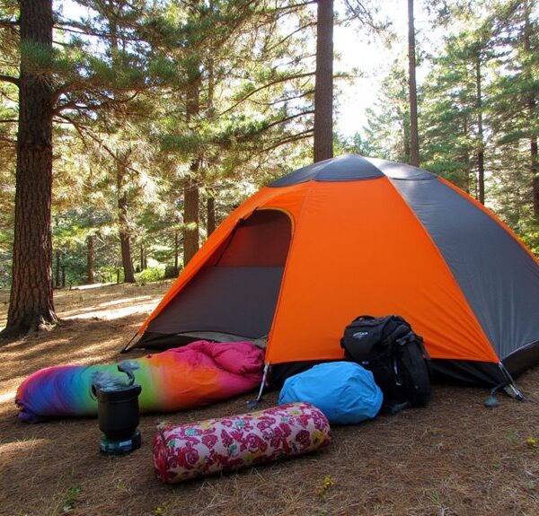 top family camping tents