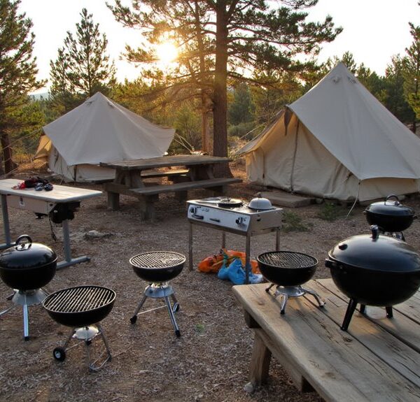top portable camping grills
