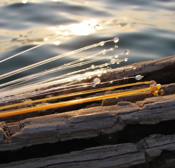 top rated fishing monofilament