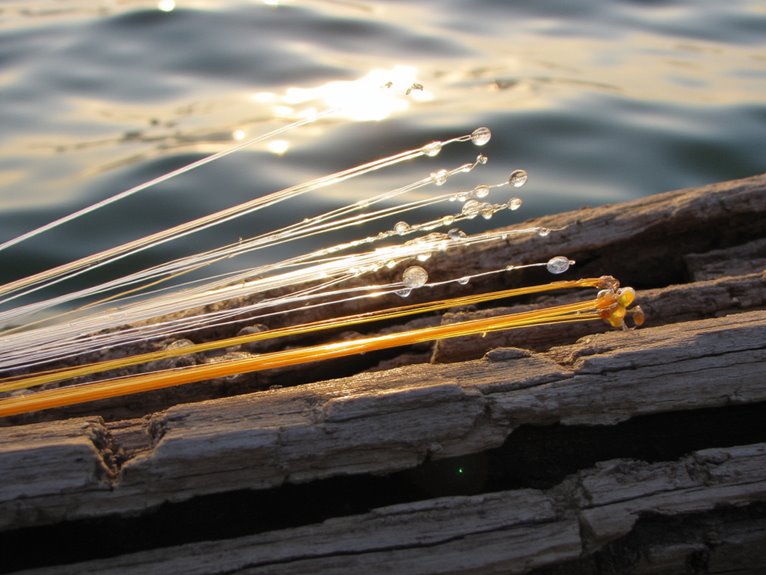 top rated fishing monofilament