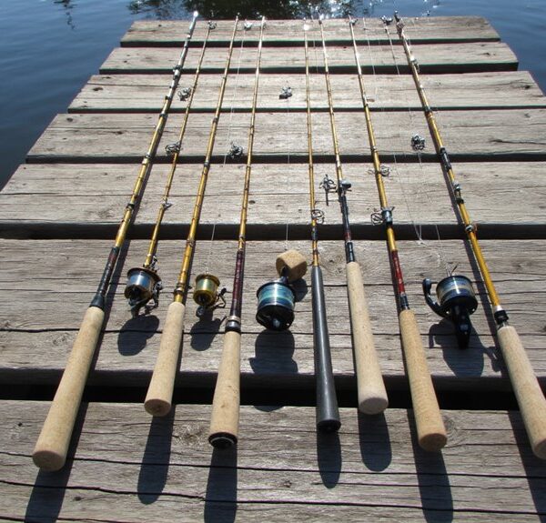 top rods for beginners