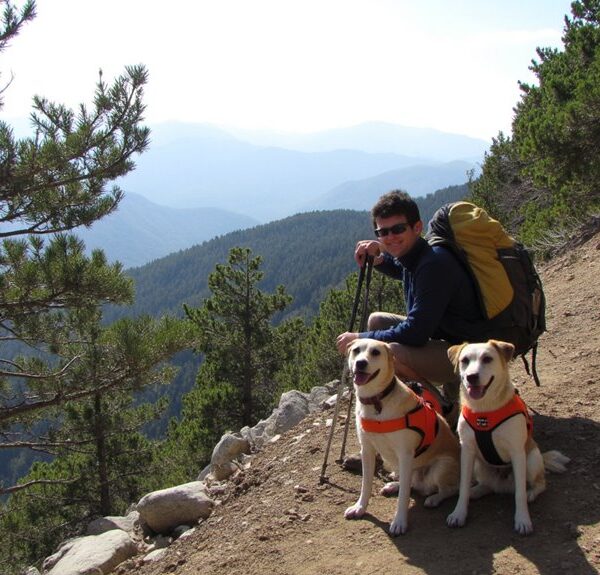 backpacking dogs training essentials
