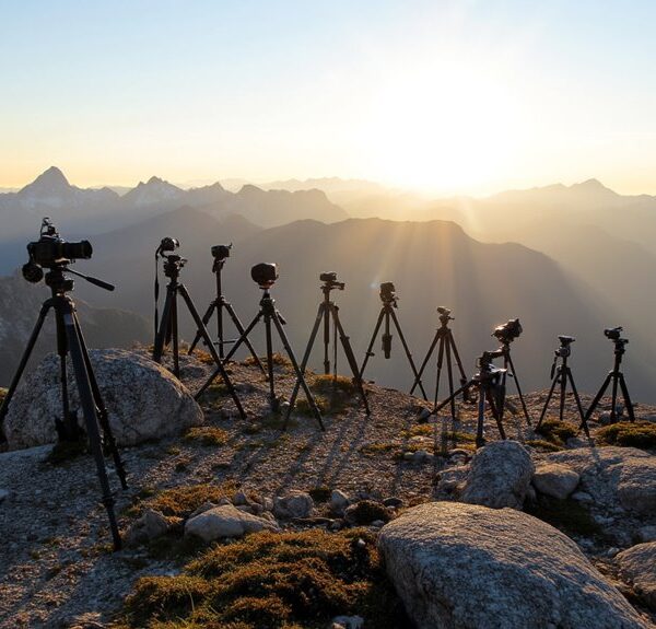 hiking tripods for photography