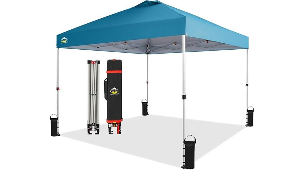 portable canopy with bag