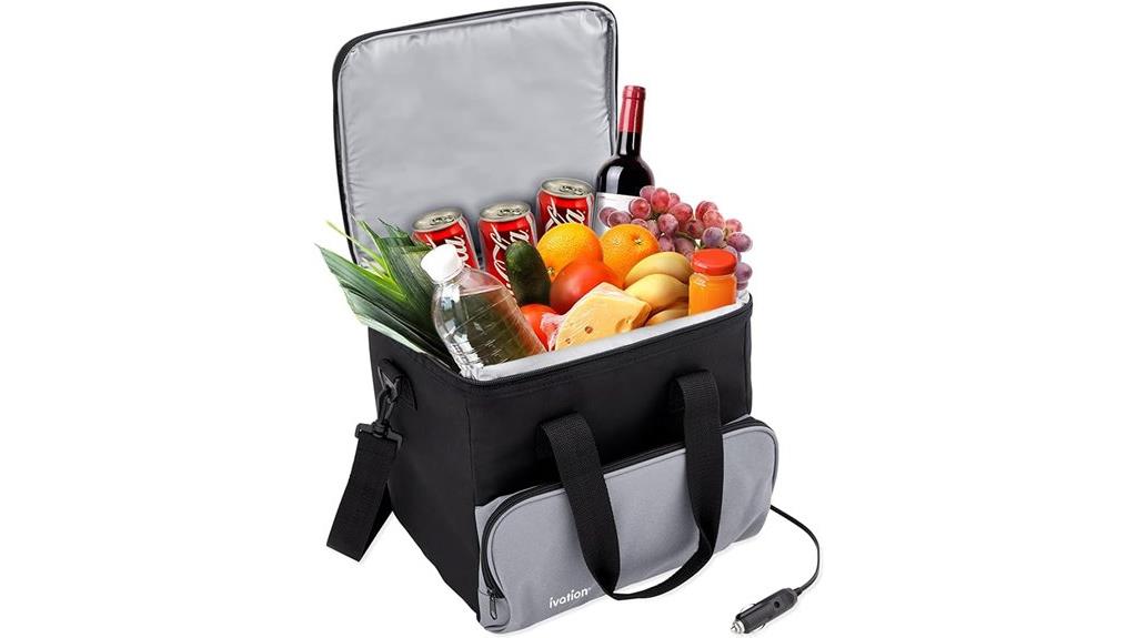 portable electric cooler bag