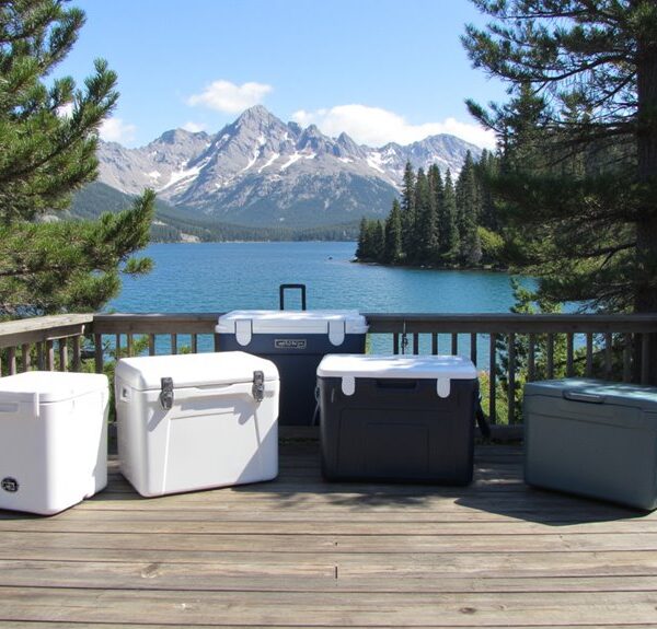 portable electric coolers guide