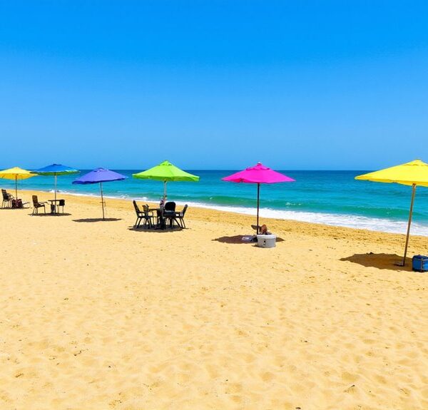 stable beach pop up canopies